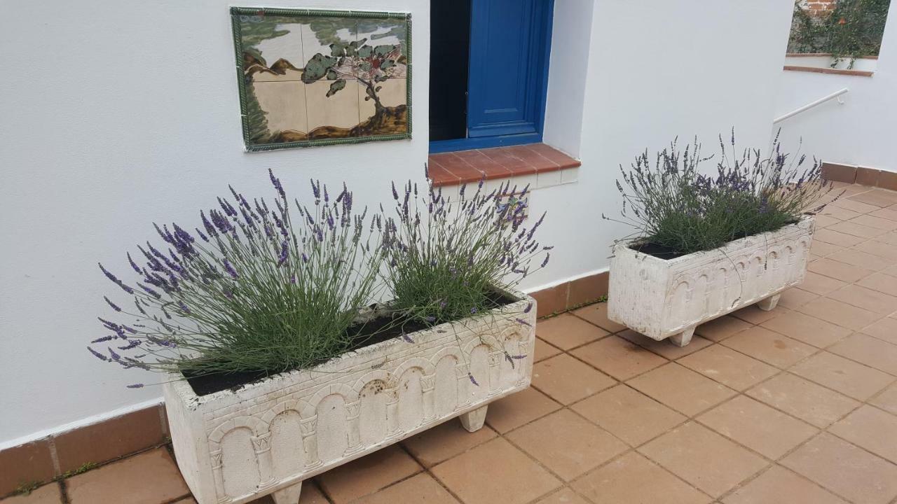Lloret Apartments Lloret de Mar Dış mekan fotoğraf
